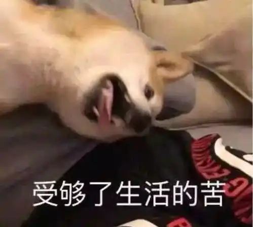  表情包别隐藏自己的沙雕属性了