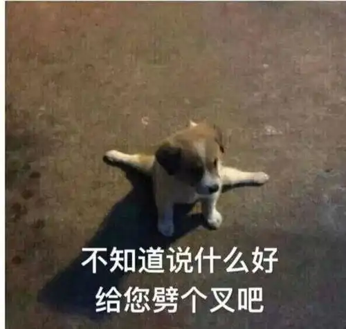 微信暧昧聊天表情包抱枕