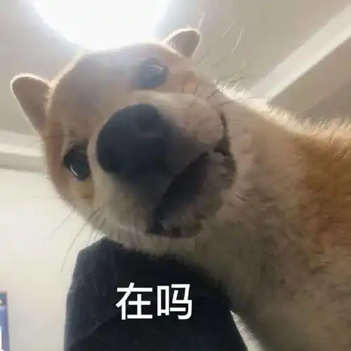  已读不回,是我眼中职场最大的pua
