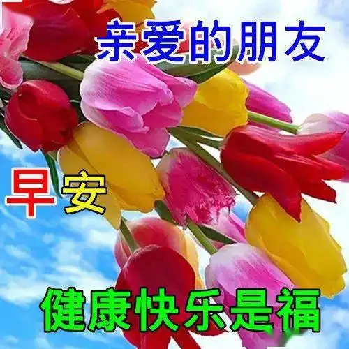  早上好动态表情图片及动图美图大全最美的十首古典爱情诗词,不负相思意生活