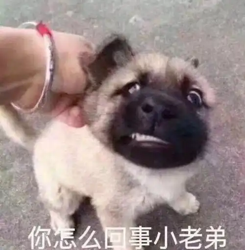  2018年度20大喜感新闻出炉,包你笑到2019年