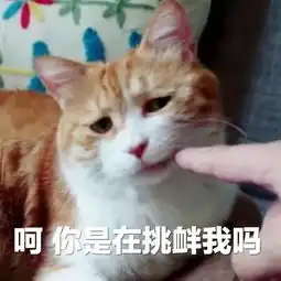  厦门人饭可以不吃,茶,不能不喝