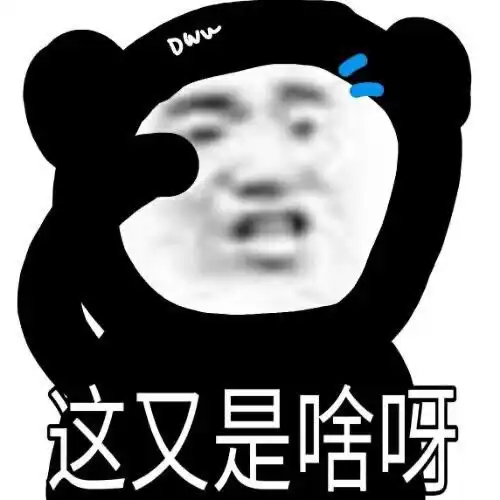 进城了表情包熊猫