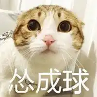  怂成一团表情包图片微信头像图片大全