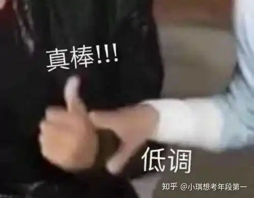  各位语文学霸你们有是怎么学语文的