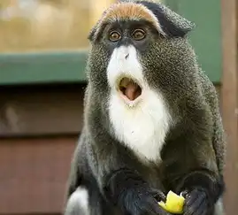  五一决定哪都不去了每日轻松一刻4月28日晚间版