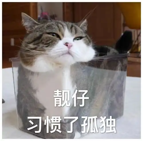  今天你笑了吗看到这些反正我是笑了,哈哈哈