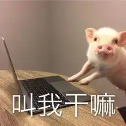 十元亲传护肤小技巧,看完表示我还是做个猪精女孩吧