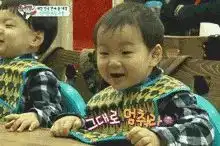  斗图呀你们知道这几个总出现在表情包的小可爱是谁吗