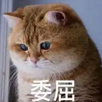 熊二委屈巴巴表情包