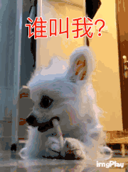  福利丨辣眼睛,我不要面子的啊获奖名单