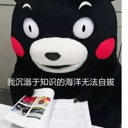  快来偷看学霸们的国庆假期计划表