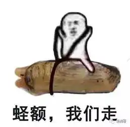  网络热词小拳拳捶你胸口皮皮虾我们走都是什么梗