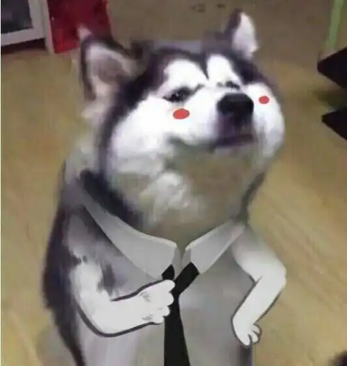 震惊五一期间被困盒中的女人萌童季 震惊五一期间被困盒中的女人萌童季