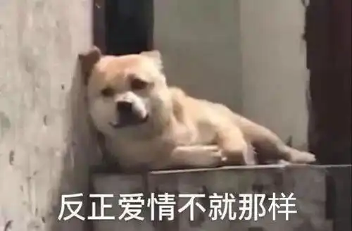  为什么很多女生get不到表情包安利一波沙雕表情包