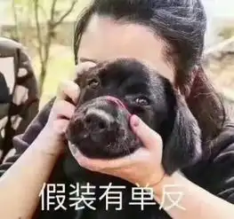  小白熊照片小白熊相册大全yy官方