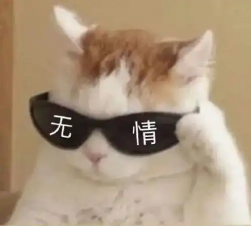  面试的时候,只会vue能行么