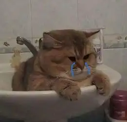  内务府红黑榜剁手一时爽,买到辣鸡火葬场