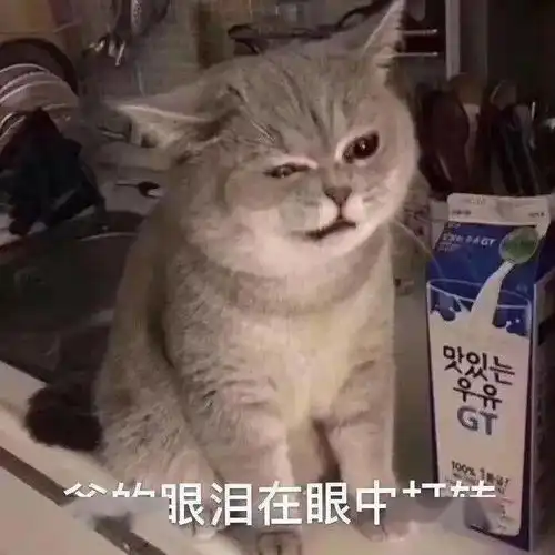  沙雕表情爷的眼泪在眼中打转