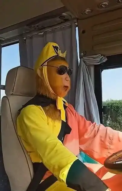  美猴王开大巴载一车猴哥高速交费收费小姐姐表情亮了