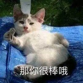 猫咪冲刺表情包竖起