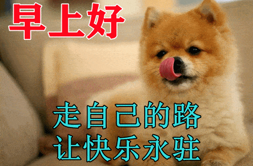 早上好表情包可爱送给