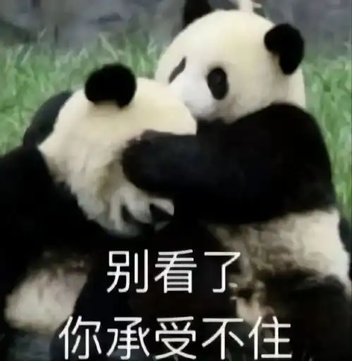生气熊猫表情包动图并处