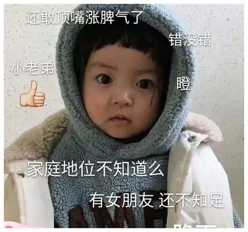  爆笑段子蚊子该是一种多么可爱的小生灵啊