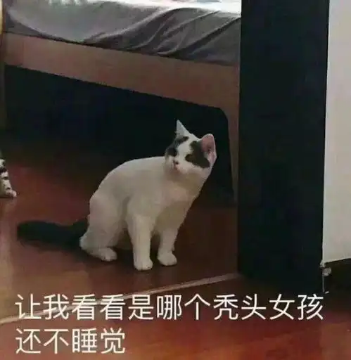  不要在该拼搏的年纪选择了安逸这都什么鬼话