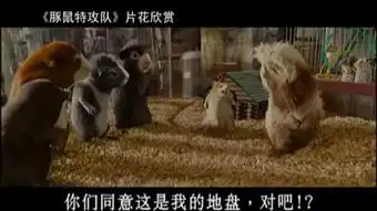  豚鼠特工队中文