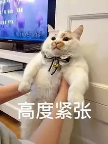  教练车被大货车追尾,车屁股撞成废铁...