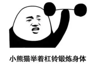 熊猫头搞怪专用卖萌表情小熊猫梳好了一个丸子头 熊猫头搞怪专用卖萌表情小熊猫梳好了一个丸子头