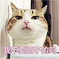  表情包写作业时和家长的斗智斗勇,学生党我不要面子的么