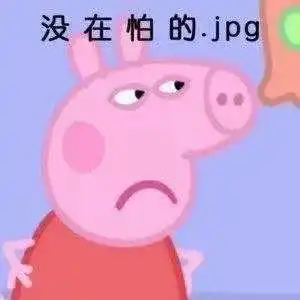  表情你有什么好用的小猪佩奇表情包表情