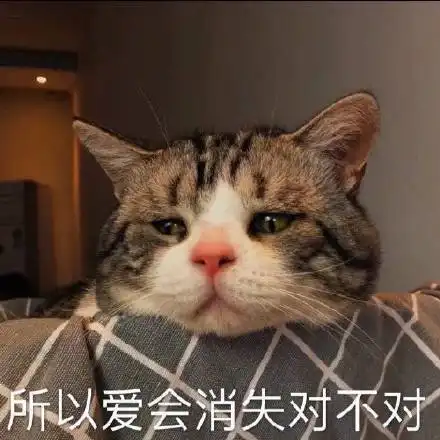  没有没有熊猫头表情包没有熊猫表情