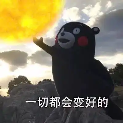 加油表情包搞笑追星