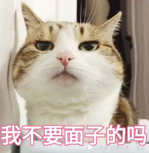  开心一刻我陪闺蜜去逛街,有一次逛到一家奢侈品服装店