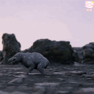  幼年奥特曼可爱表情包