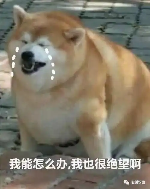 搞笑表情包图片大全集搞