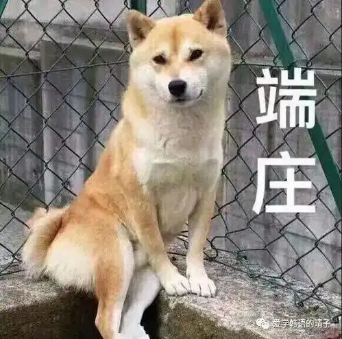  那些年学习韩语闹过的笑话