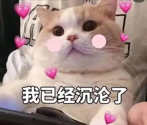 担心表情包猫咪小猫咪