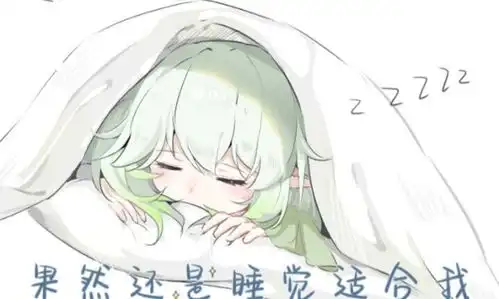  小草神纳西妲的表情包哦