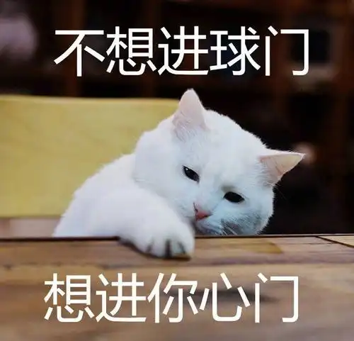  世界杯土情话,这球真甜