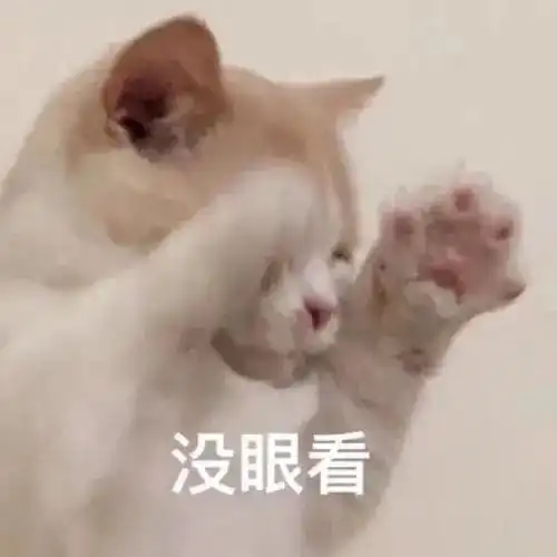  我被骗了骗子特征有毛,肥胖,四脚兽