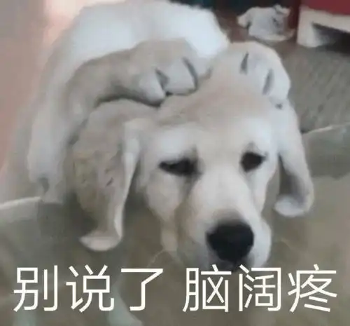 狗托表情包招惹
