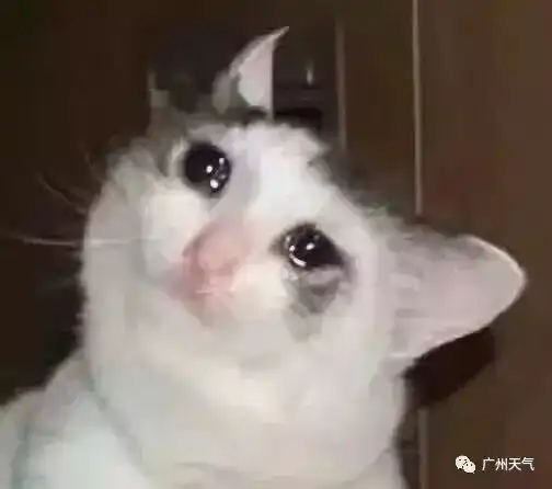 明天或可观日偏食接下来还有阴冷魔法攻击从化最低仅6 明天或可观日偏食接下来还有阴冷魔法攻击从化最低仅6