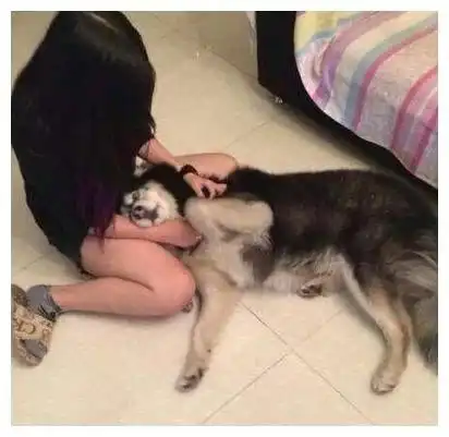  搞笑gif哪位观众是浙a88888的布加迪车主,请去车库挪下车