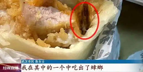  令人作呕女子点了份外卖,疑似吃到蟑螂腿还沾着酱料