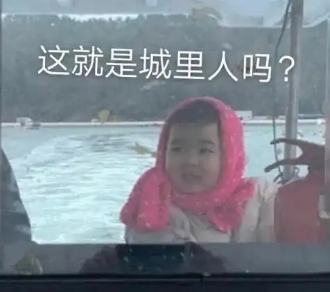  最火表情包我踢,这就是城里人吗