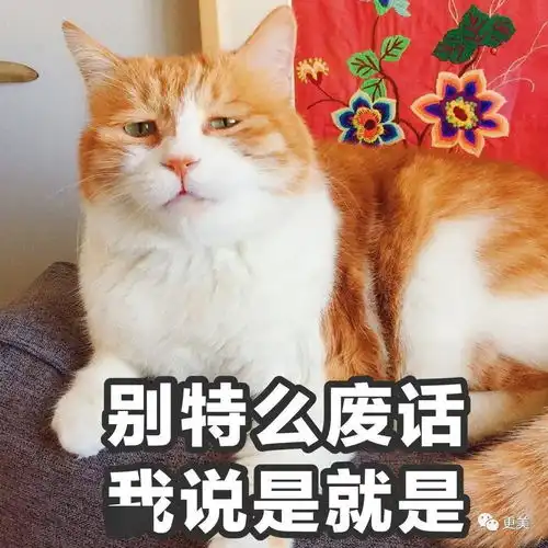  如果被绿的是蒋凡罗志祥屈楚萧,这出戏可就太精彩了